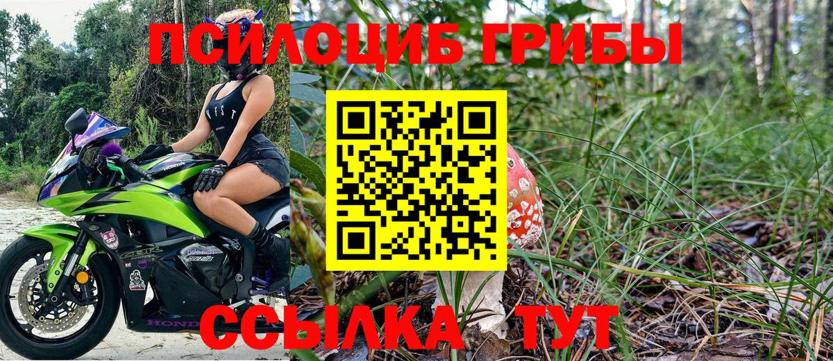 Галлюциногенные грибы Cubensis Ессентуки