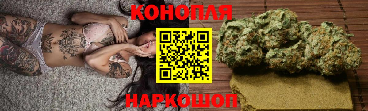 Бошки марихуана конопля Ессентуки